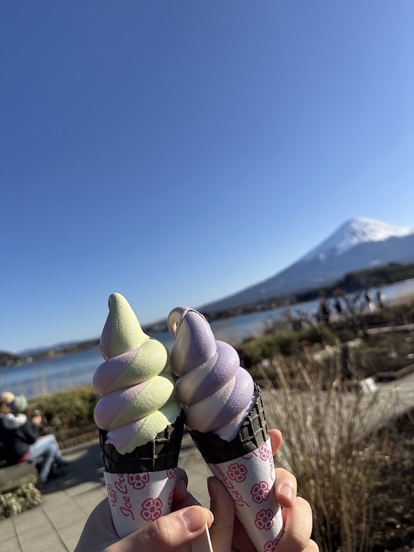 Two swirl soft serve ice cream in front of a mountain